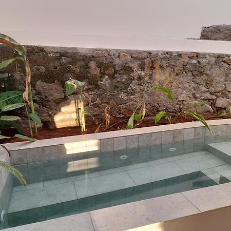 La Kaz Banian Hotel Saint Pierre Buitenkant foto