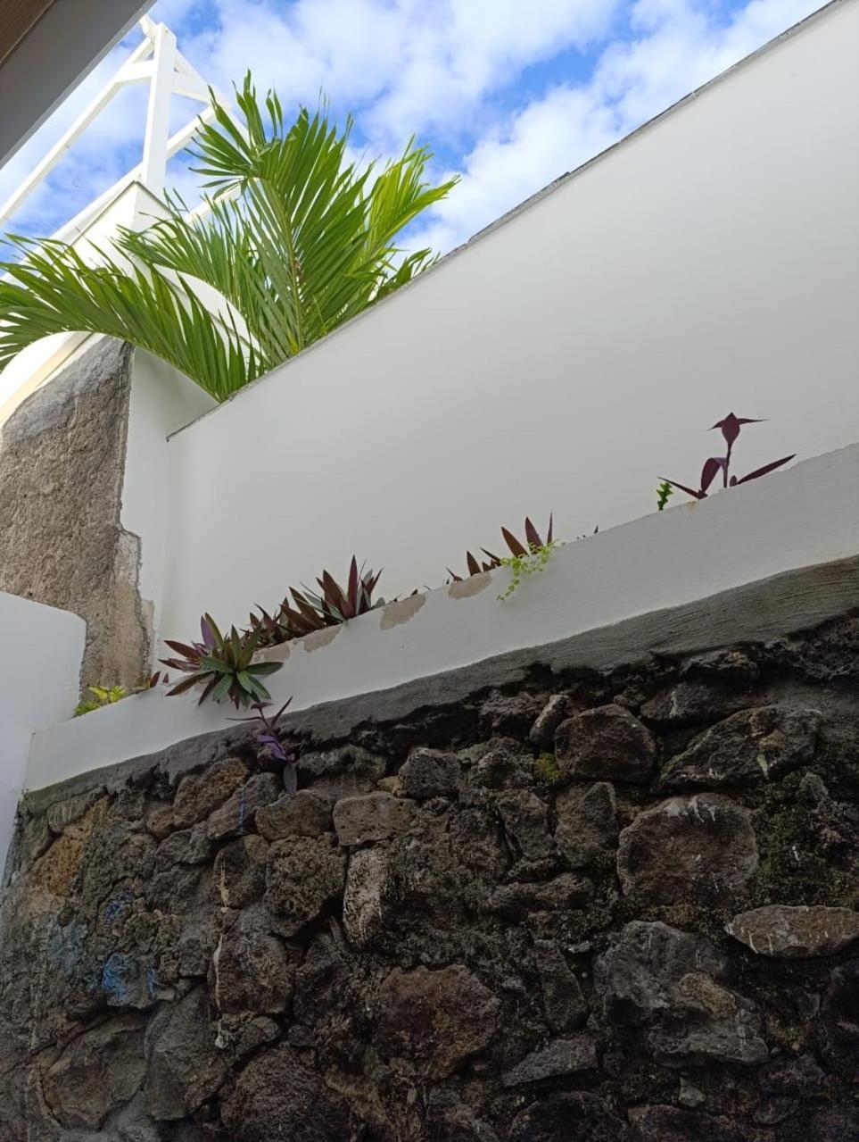 La Kaz Banian Hotel Saint Pierre Buitenkant foto