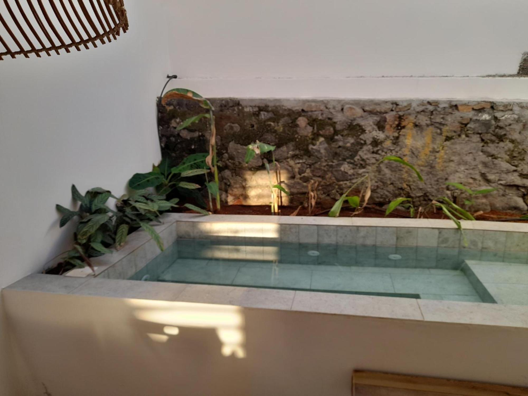 La Kaz Banian Hotel Saint Pierre Buitenkant foto
